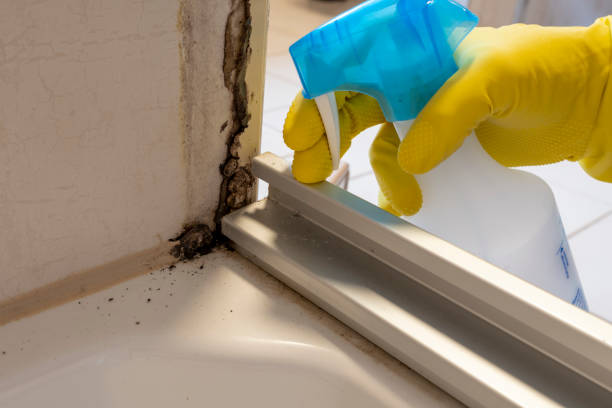 Crawl Space Mold Removal in Rowland Heights, CA