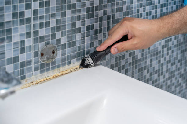 Best Mold Testing  in Rowland Heights, CA