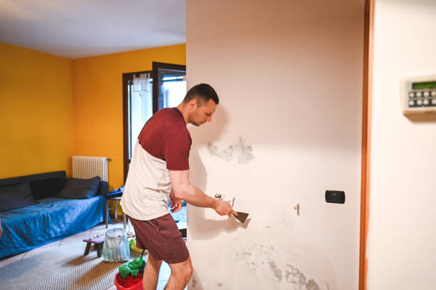 Best Crawl Space Mold Removal  in Rowland Heights, CA